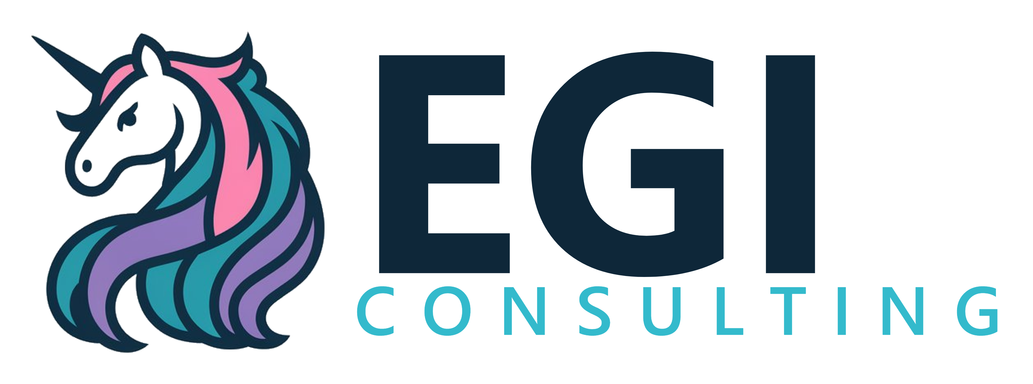 EGI Consulting